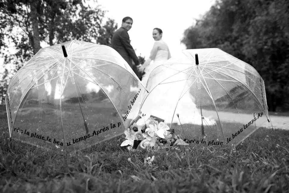 Thierry Renault — photo 4