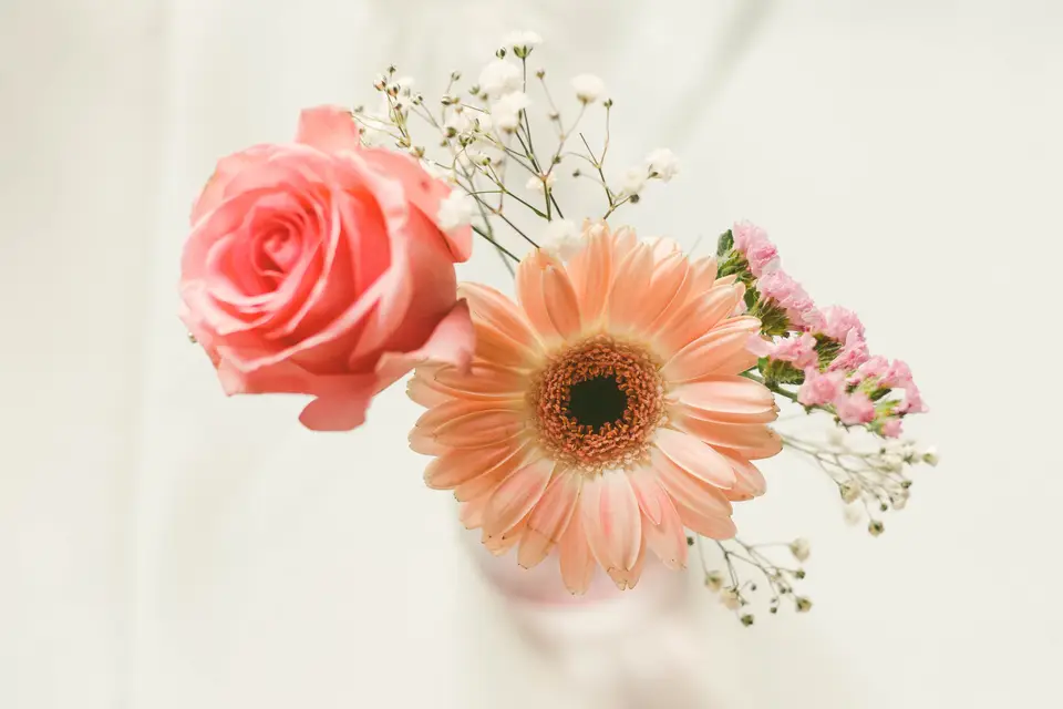 Instants éphémères photographie — photo 1