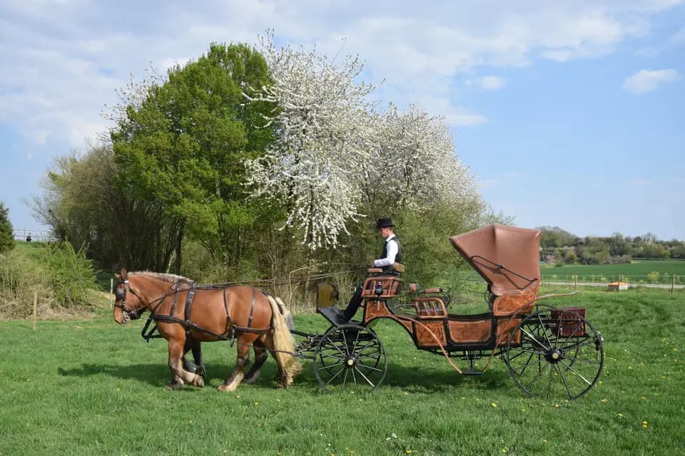 Ecurie du Bois de Mont — photo 1