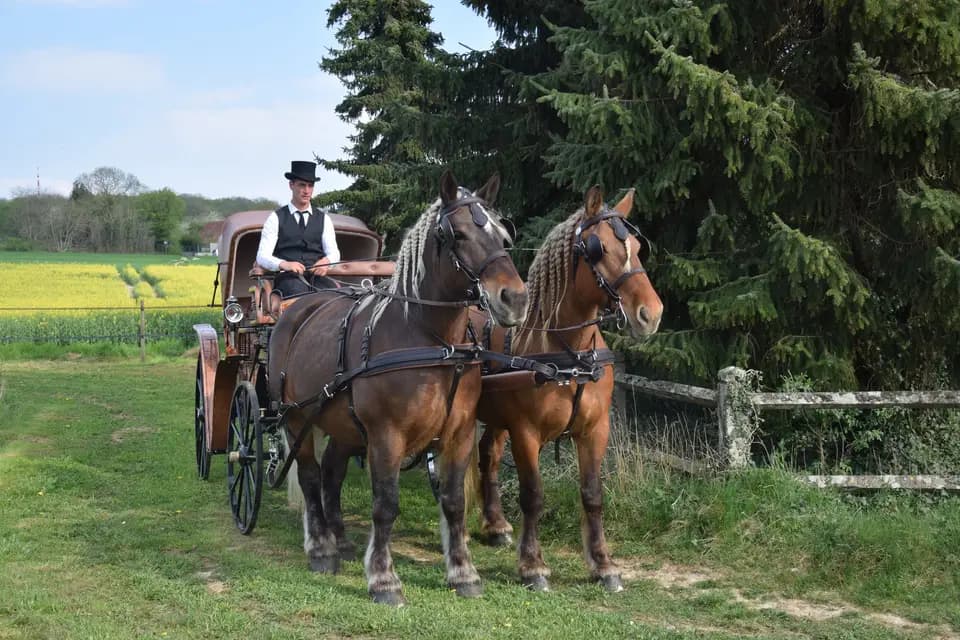 Ecurie du Bois de Mont — photo 3