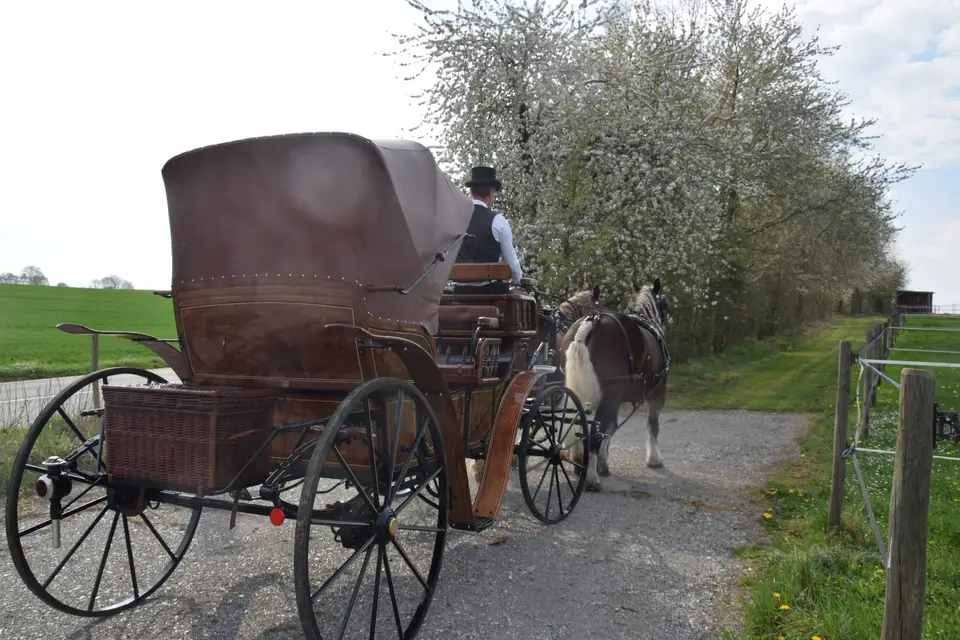 Ecurie du Bois de Mont — photo 4