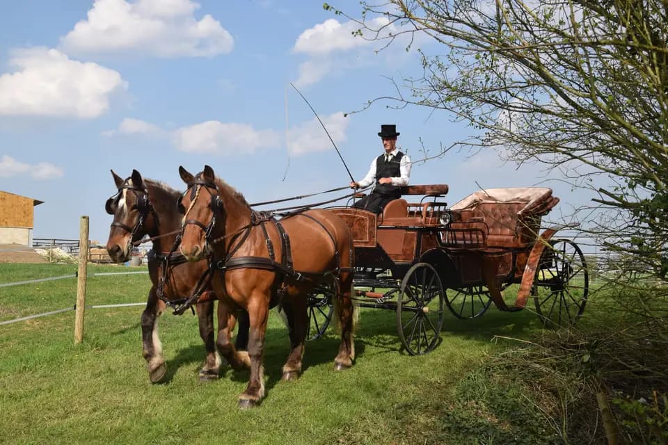 Ecurie du Bois de Mont — photo 5
