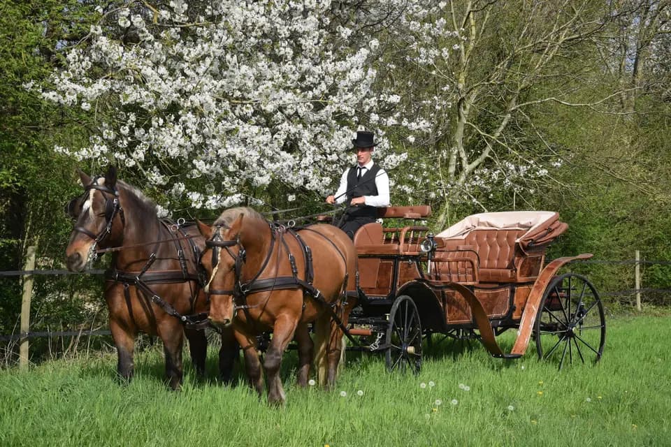 Ecurie du Bois de Mont — photo 6
