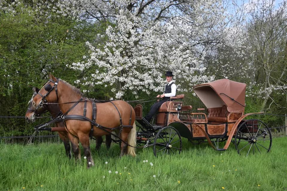 Ecurie du Bois de Mont