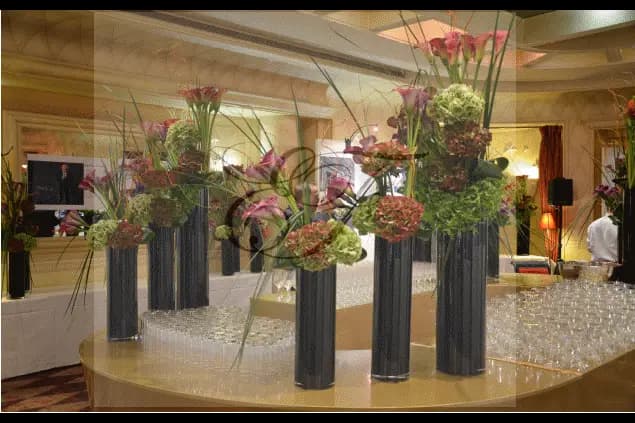 Elyflore — photo 5