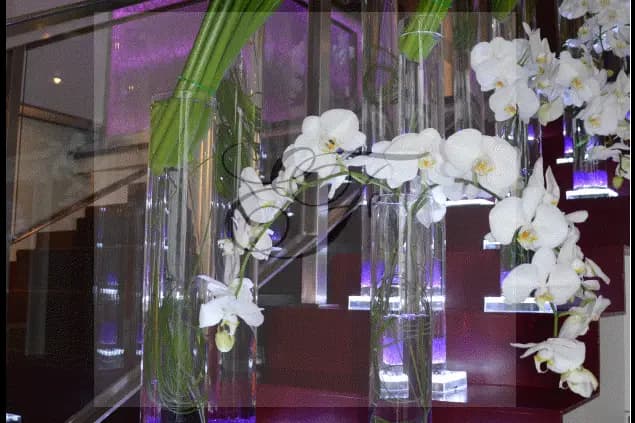 Elyflore — photo 1