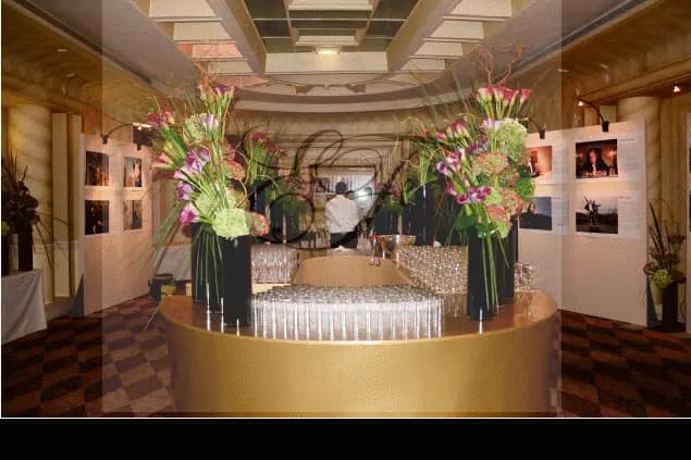 Elyflore — photo 2