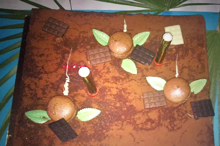 Eric Traiteur des Loges — photo 7