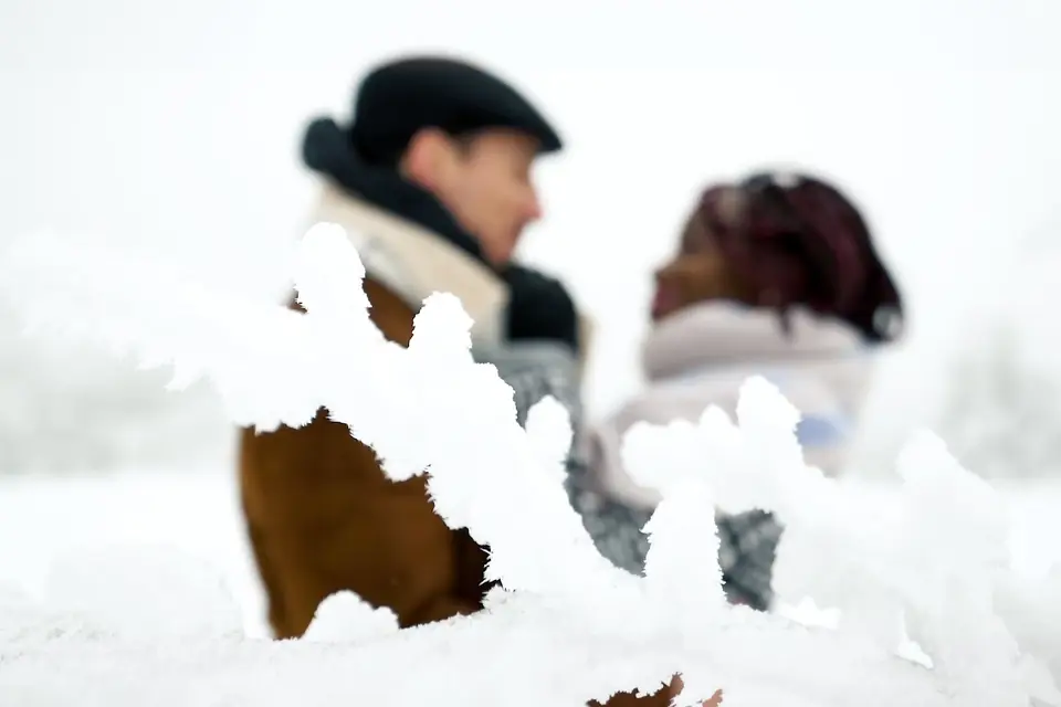 Pixels Vision France — photo 7