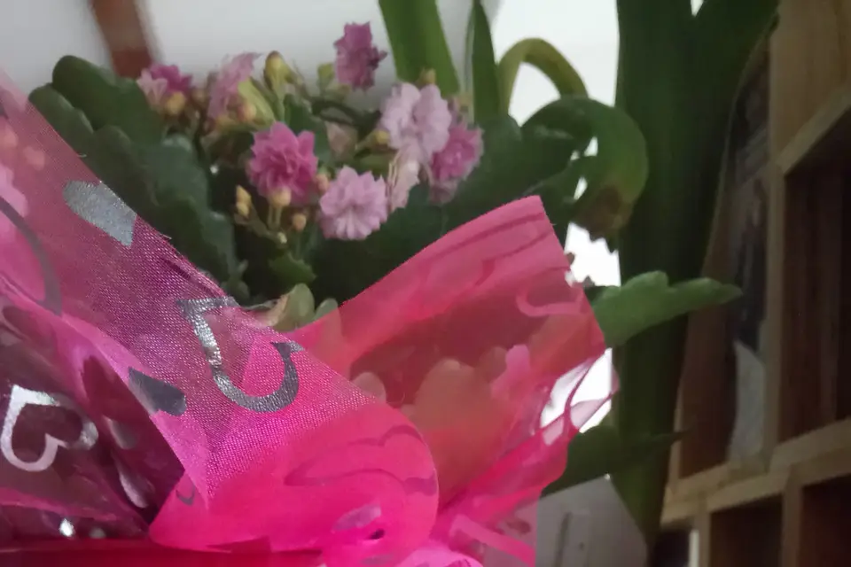 La Belle à Miel — photo 7