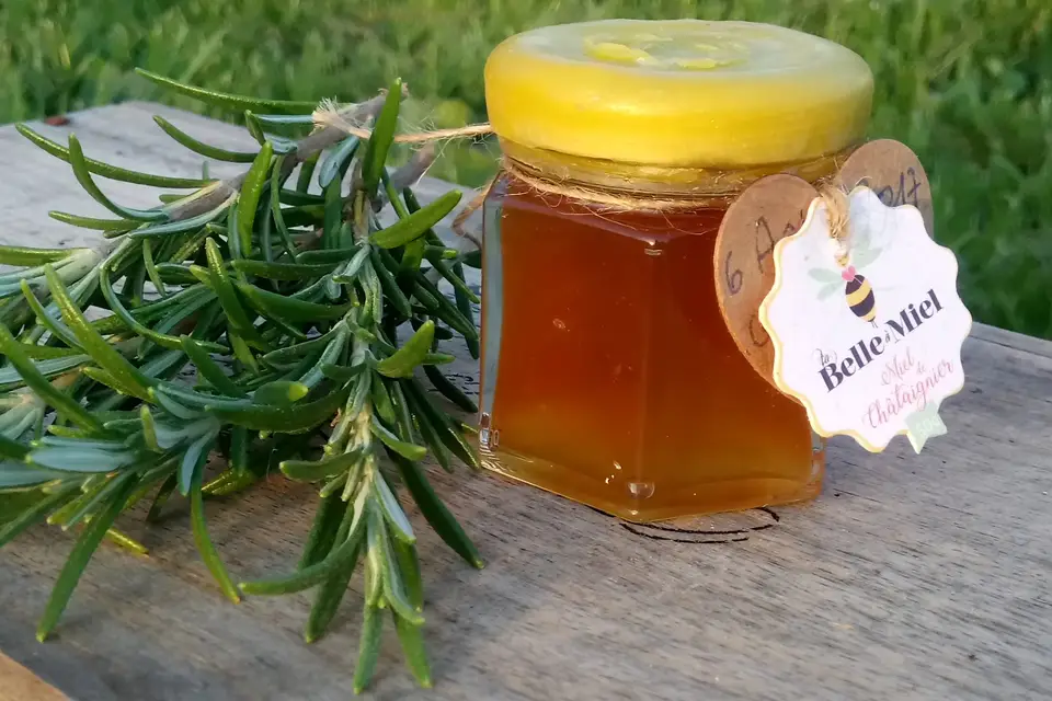 La Belle à Miel — photo 5