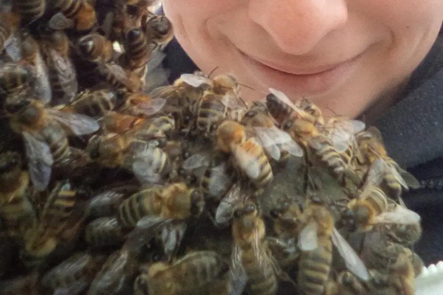 La Belle à Miel — photo 3