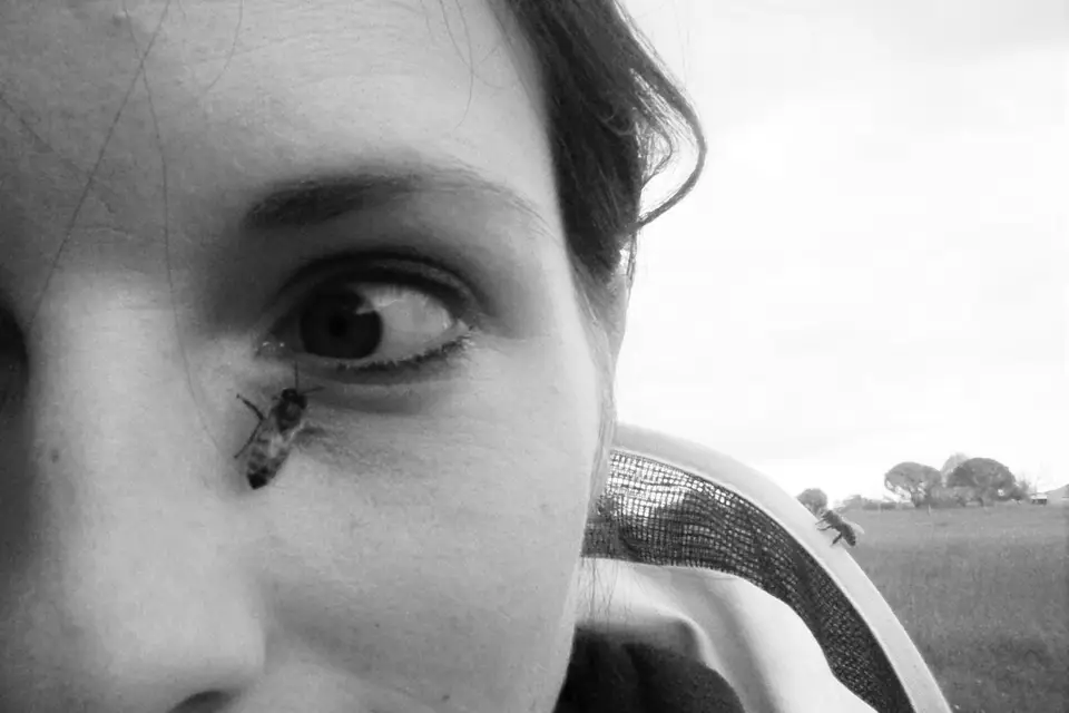 La Belle à Miel — photo 4