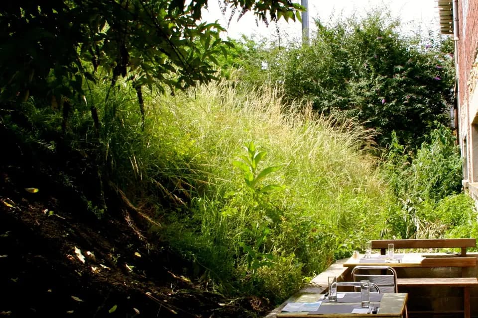 Commune Image — photo 3