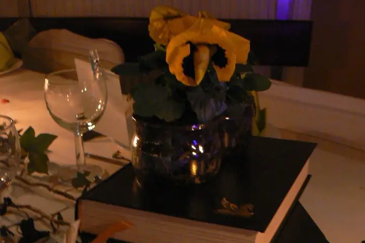 Camille C'Event — photo 3