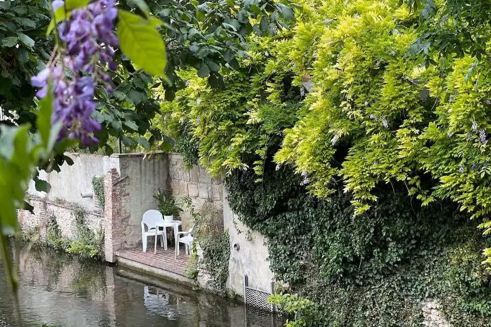 MDG Conseils — photo 5