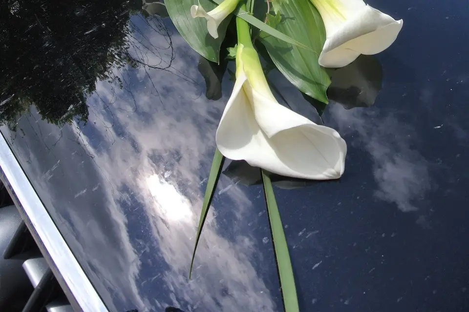 Ô Vert'ige — photo 5