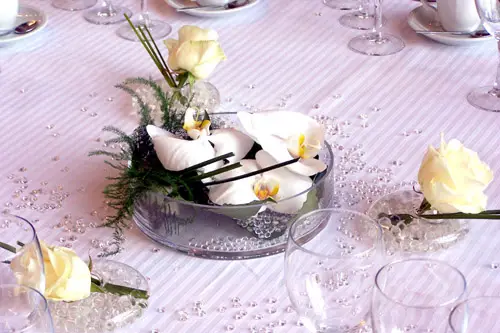 Capucine and Co — photo 4