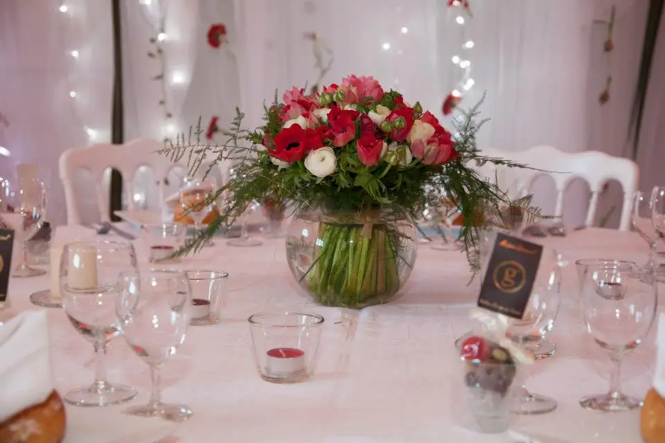 Capucine and Co — photo 5