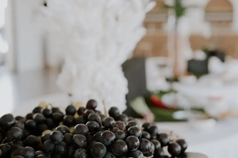 Champagne Oudard Francois — photo 6