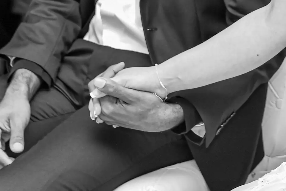 Vista Motion Studio — photo 1