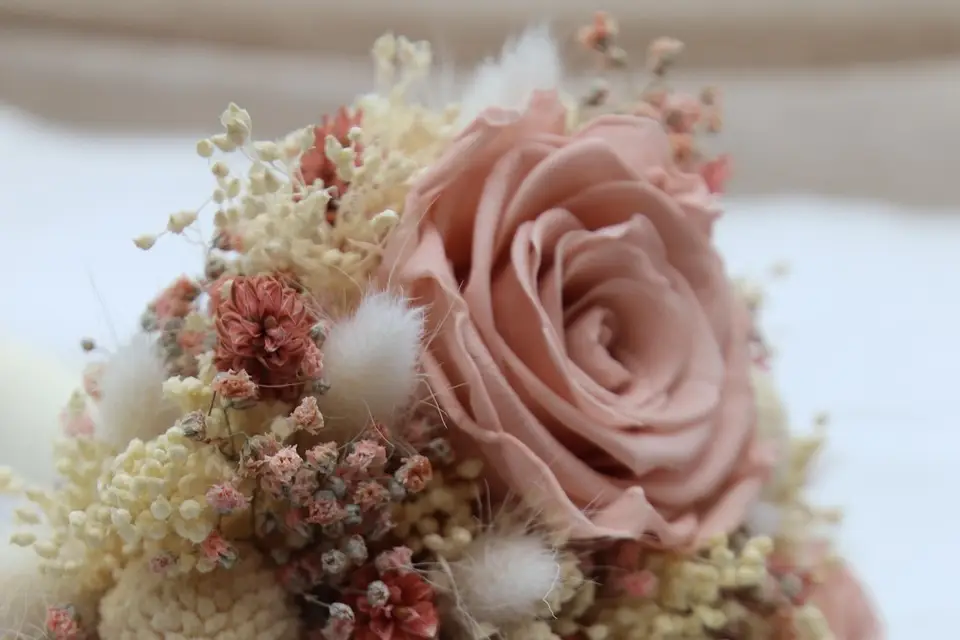 Les Brindilles de Marie — photo 2