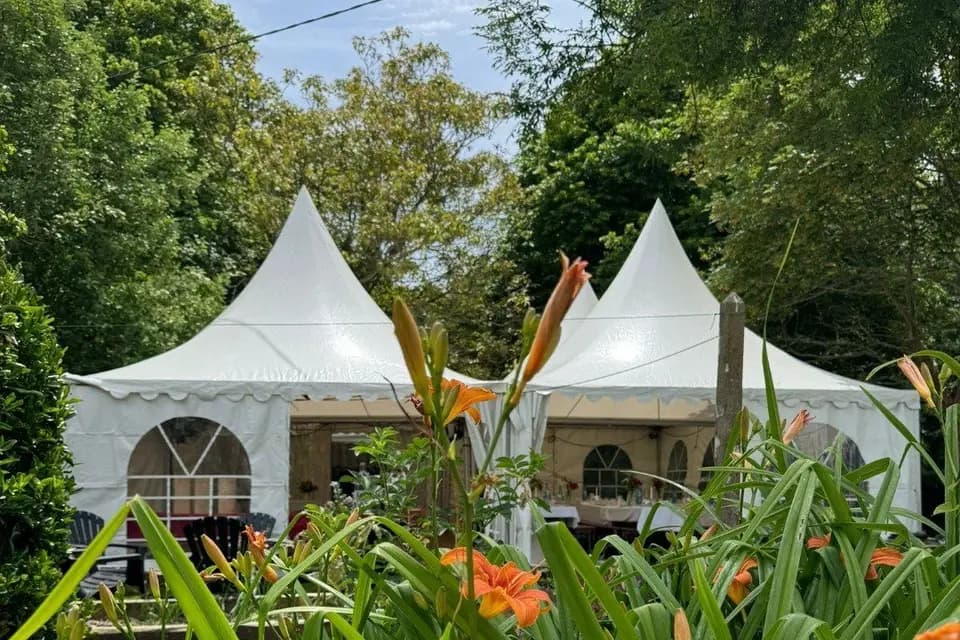 Ty Marius — photo 3