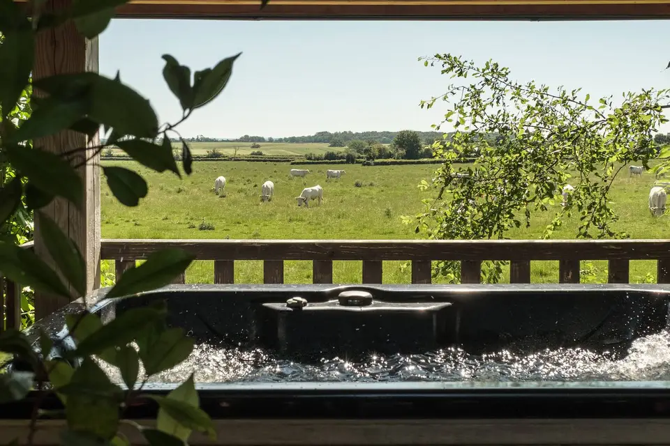 Le Domaine des Prés Verts — photo 8