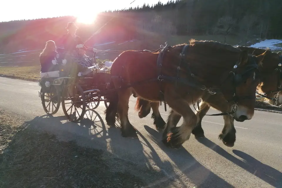 Calèche du Vercors — photo 7