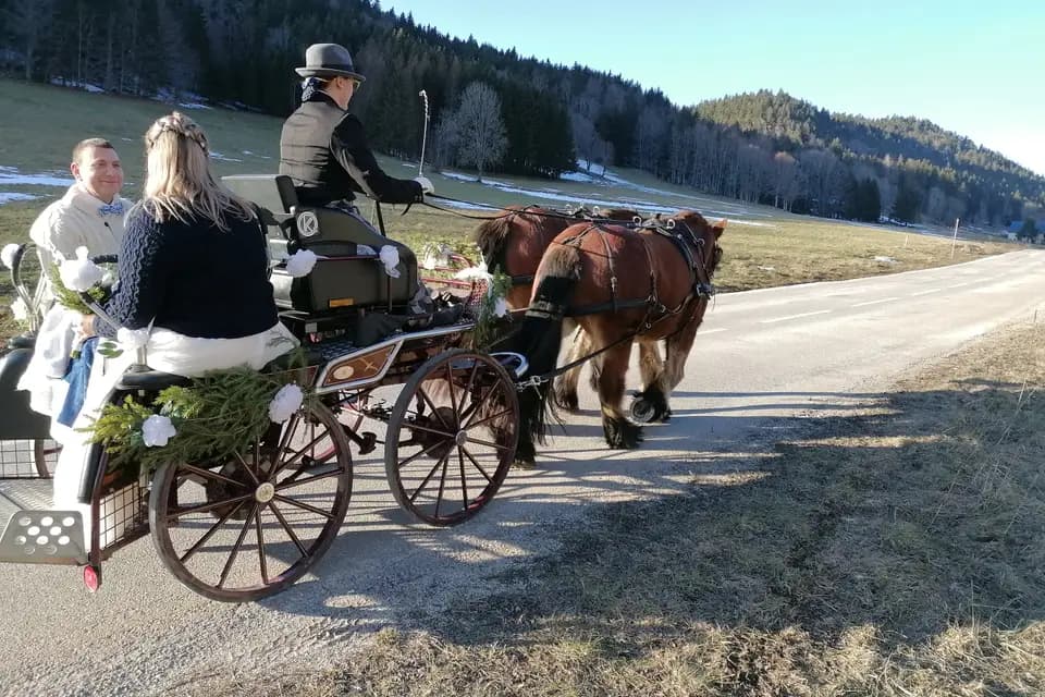 Calèche du Vercors — photo 4