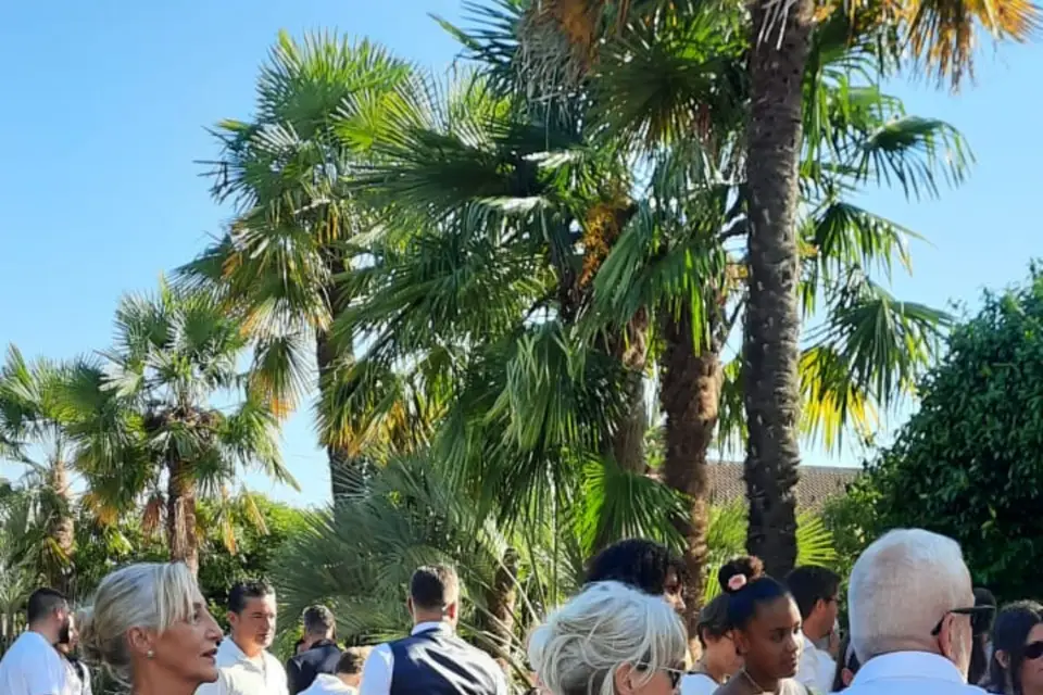 Bubbles’s Family — photo 3