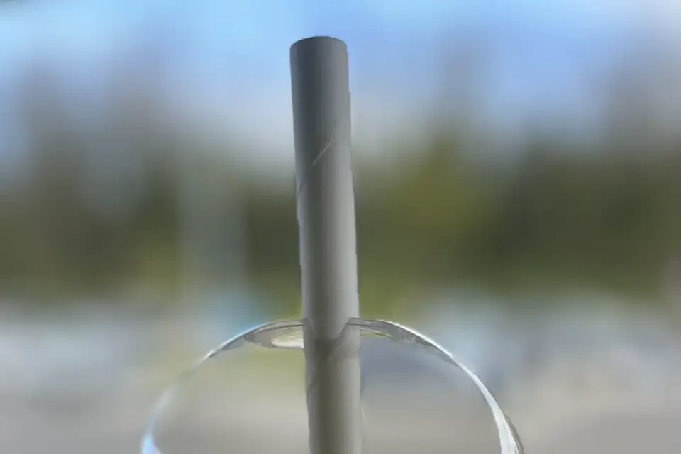 Bubbles’s Family — photo 5