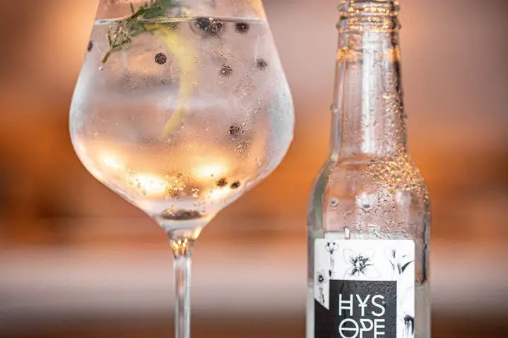 Maison Cocktail — photo 1