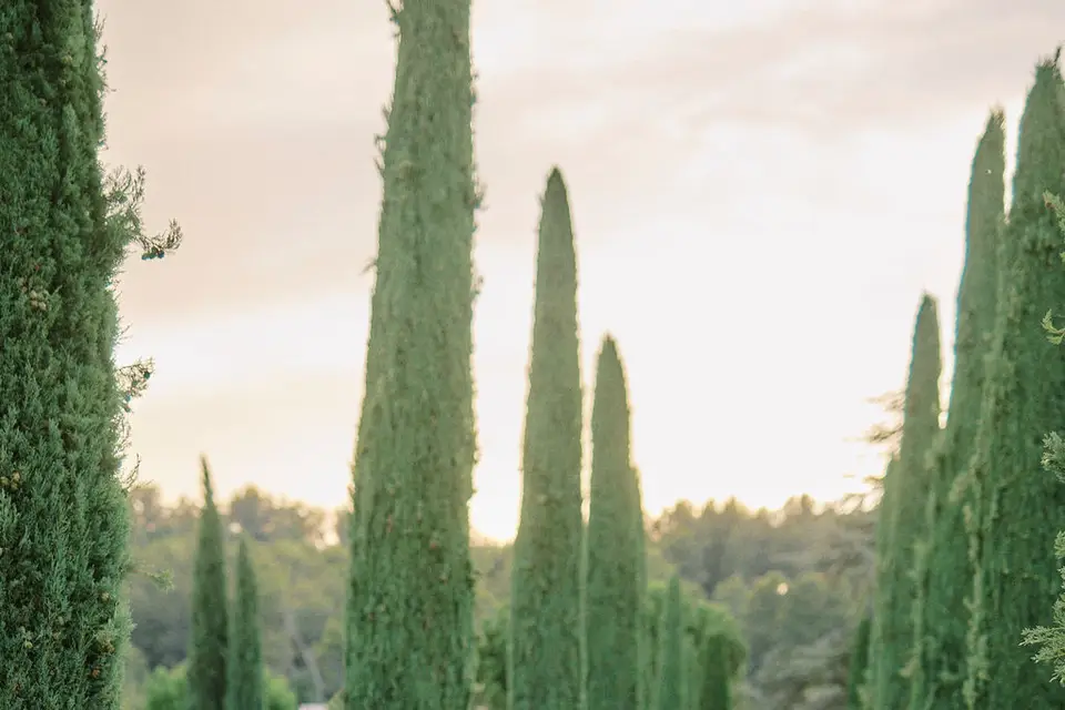 Kiss & Toast — photo 5