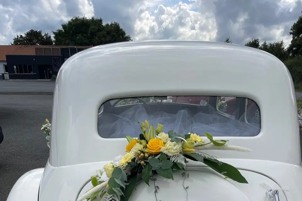 Vintage Loisirs — photo 3