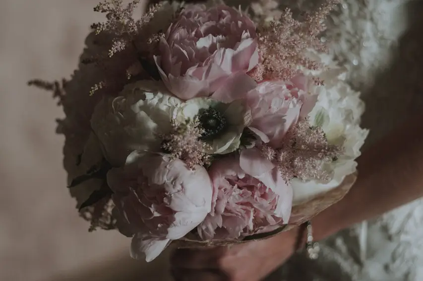 Boréale-Photographie — photo 4