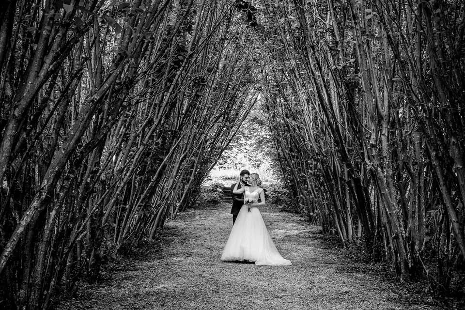 Lami Photo — photo 6