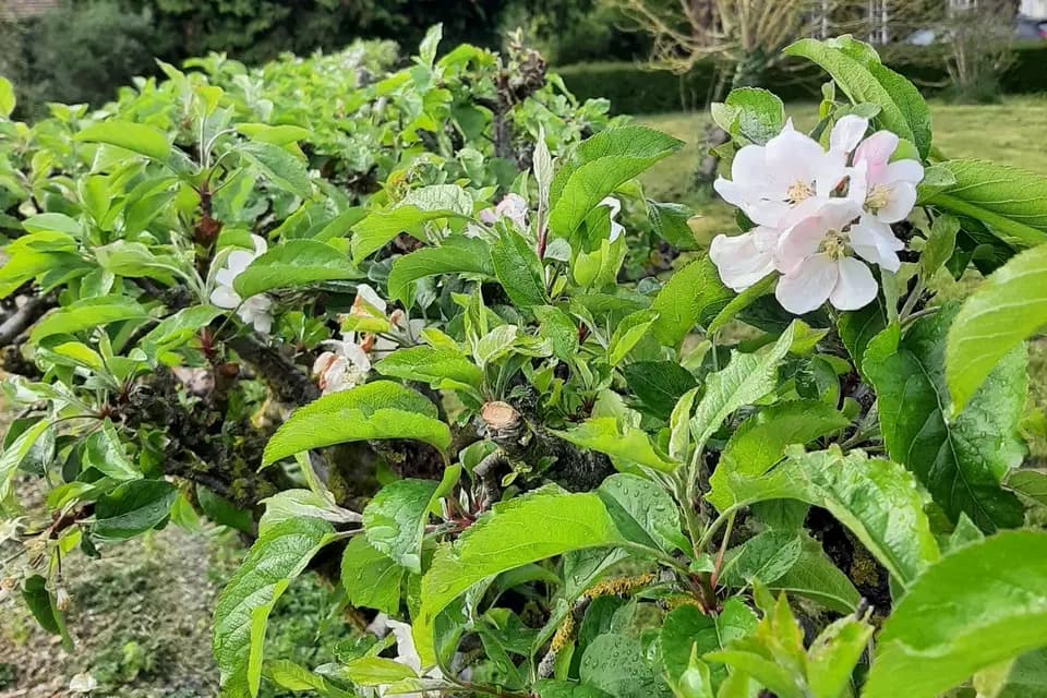 Le Domaine des Rives de l'Epte — photo 7