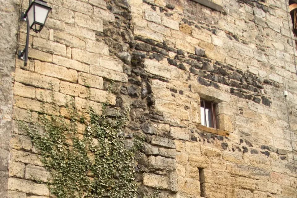 Quartet Bakro — photo 4