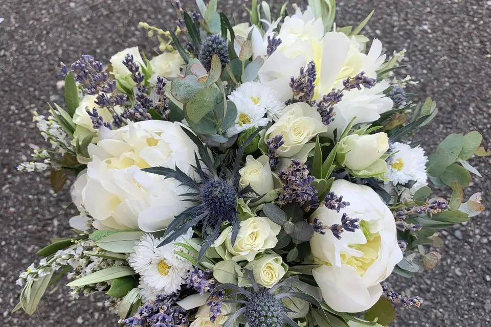 Atelier de Laura — photo 7