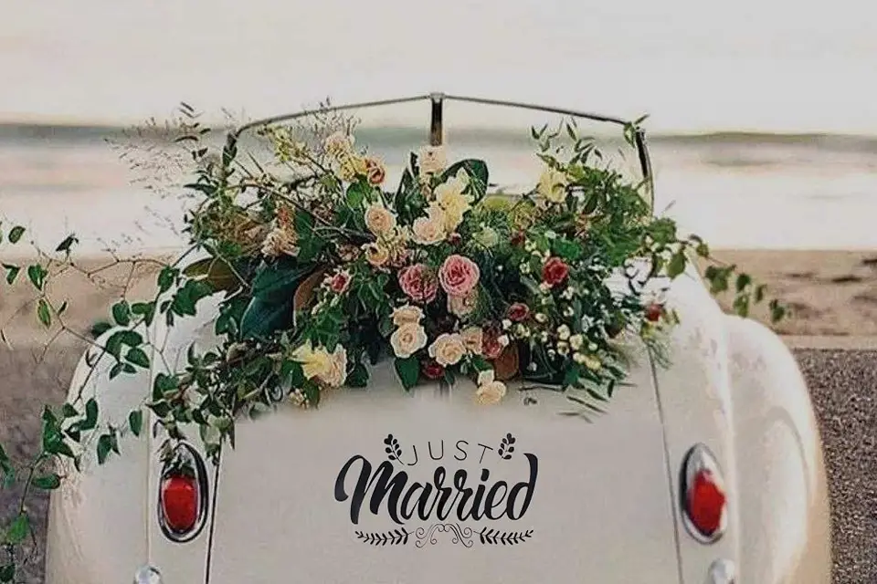 Bienveillante — photo 3