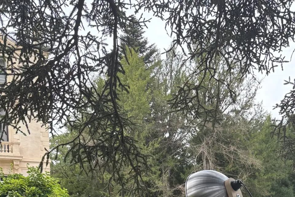 Heaven Events — photo 5