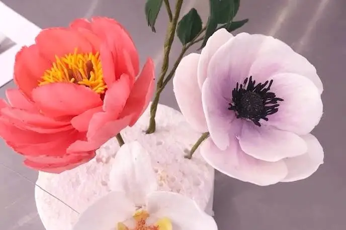 Cake Design Rena Hay Tort