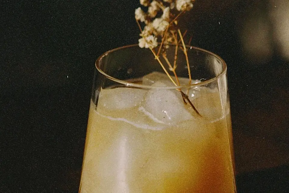 Le Dodo Barnomade — photo 1