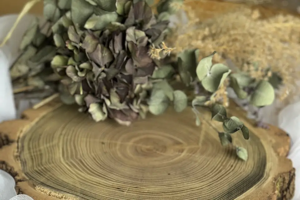 Divine Réception — photo 6