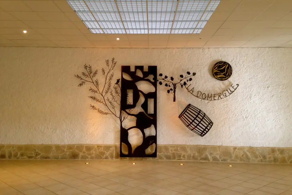 Domaine la Domergue — photo 4