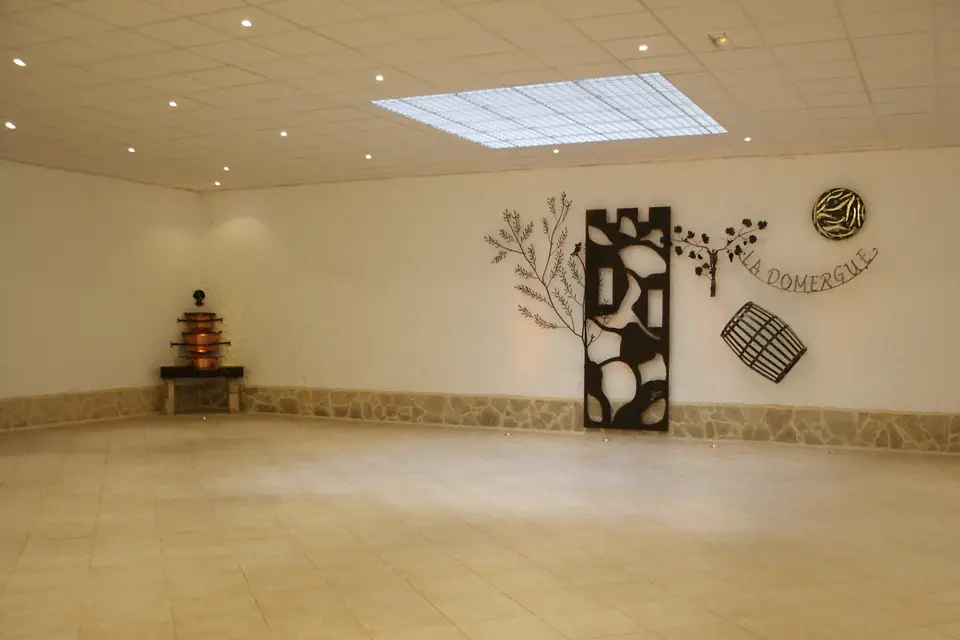 Domaine la Domergue — photo 3