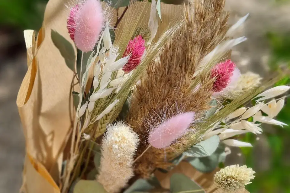 Le Jardin de Gaia — photo 4