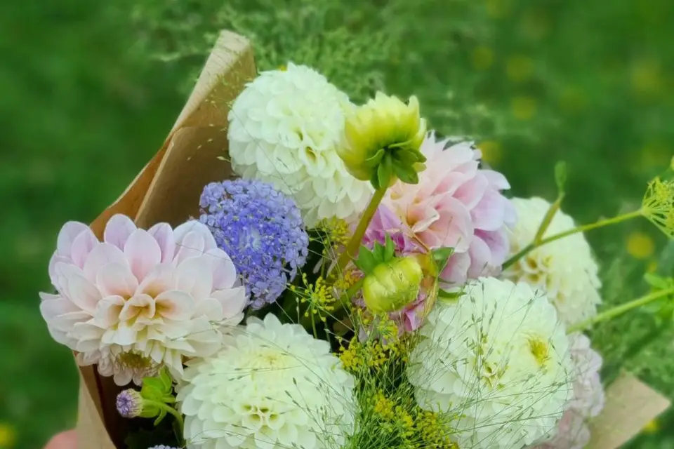 Le Jardin de Gaia — photo 2