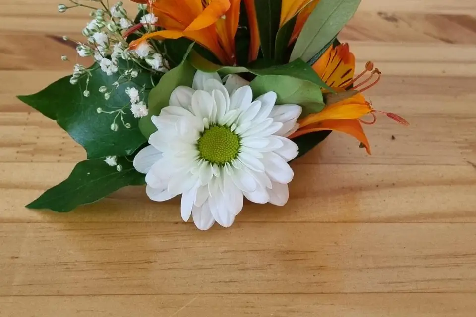 Le Jardin de Gaia — photo 8